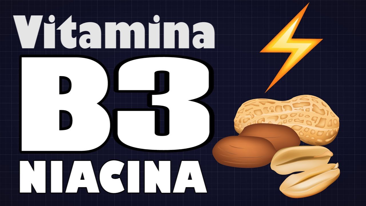que funcion tiene la vitamina b3 en el cuerpo humano