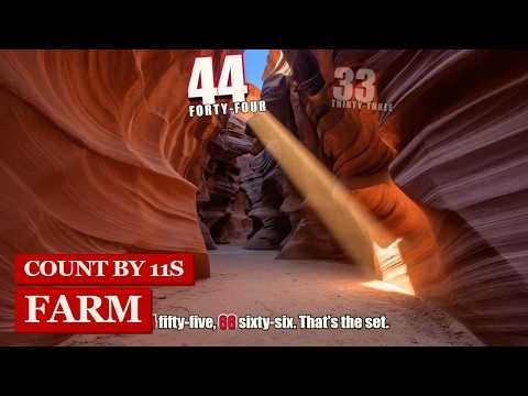 Count by 11s Farm Song | Skip Counting to 132