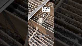 Spring Cleaning Hvac Air Filter