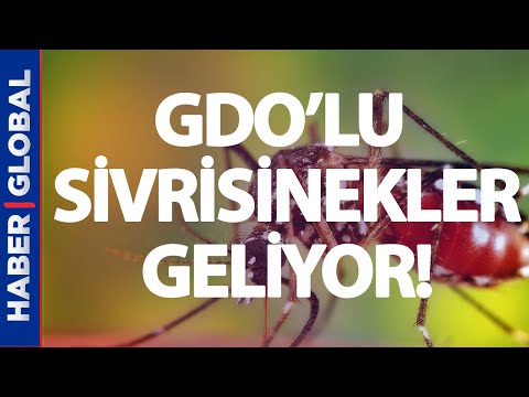 Video: 10 endokrin bozucular ve çareler