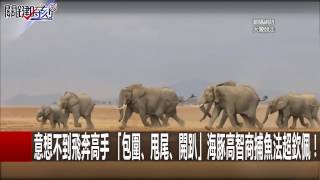 西伯利亞最大隱憂！永凍土受暖化威脅 世界最後荒野將成沼澤！？ 馬西屏 黃創夏 朱學恒 20170110-3 關鍵時刻