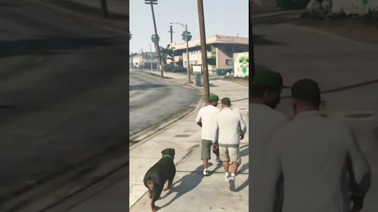GTA V Chop 