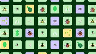 Día Internacional de la Biodiversidad Biológica Día Internacional de la Biodiversidad Biológica