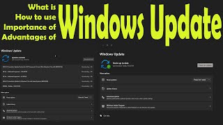 Do we really need WINDOWS UPDATE  What is and how to use Windows Update  Security Updates !!!