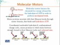 BIO734 Advances in Cell Biology Lecture No 189