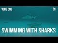 KENN COLT / Swimming with Sharks &amp; Stingrays / VLOG #002