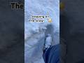 Stepping on the Snow! ❄️ #snow #winter #nature #shorts #viral