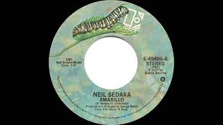 Watch Neil Sedaka Is This The Way To Amarillo feat Tony Christie video