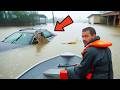 Bobcat Won’t Let Go of the Sinking Car in the Flood — What’s Inside Shocks the Entire Rescue T