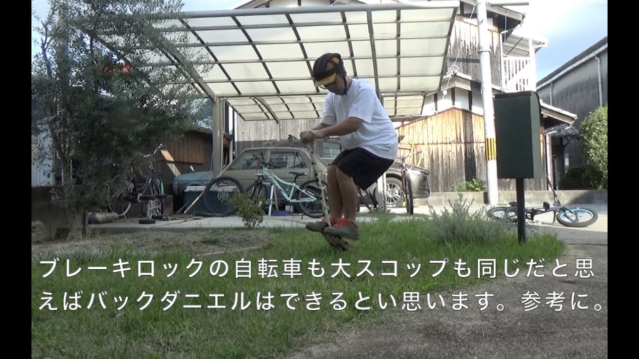 擬似フロントアップ練習法とGTアグレッサー再生と野良仔犬