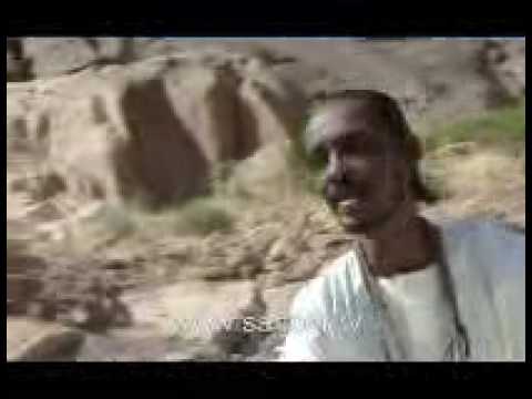 القبه العجيب أوصافا محمود عبد العزيز 