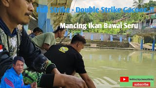 Full Strike - Double Strike Gacoor..!! || Mancing Ikan Bawal Seru