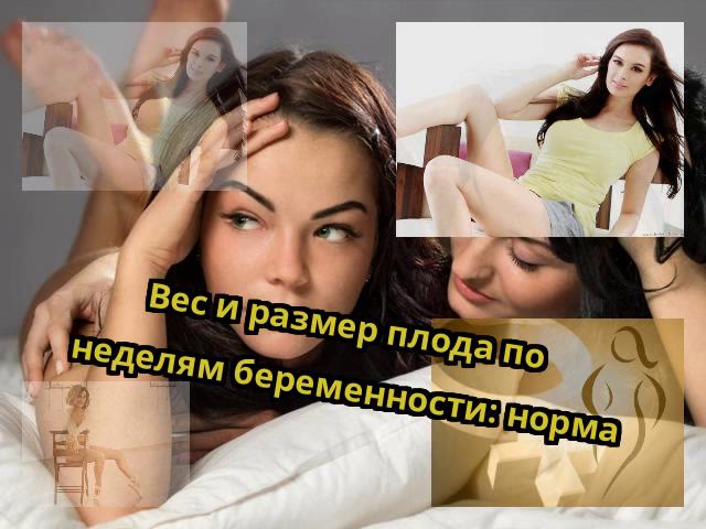 Вес и размер плода по неделям беременности: норма