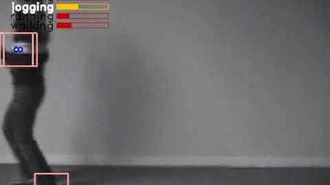 Real-time Action Recognition by Spatiotemporal Semantic and Structural Forest