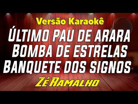 Video thumbnail for Zé Ramalho - Último Pau de Arara/Bomba de Estrelas/Banquete de Signos
