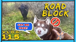 The Road Block That Made Us Think Twice