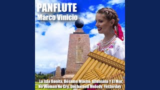 Video thumbnail of "Marco Vinicio - Shalon (Panflute Version)"