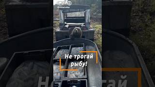картинка: Смешно и мило! Медведь не стал объедать рыболовов! Как это получилось?