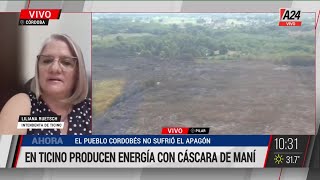💡 En Ticino, provincia de Córdoba, producen energía con cáscara de maní
