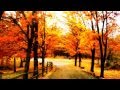 Plastic Tree - Rorschach (Migi)