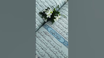 سوره الكهف نور مابين الجمعتين#القرآن_الكريم #راحة_نفسية #سكينة #المصحف
