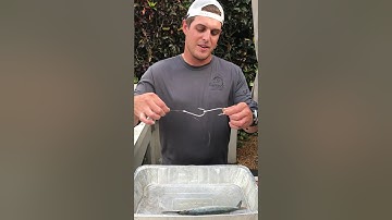 Double hooked select ballyhoo for wahoo fishing