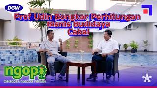 CHATTING ABOUT CHILI FARMING BUSINESS WITH PROF UDIN