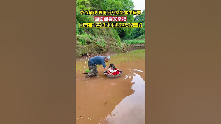 爷爷插秧，双胞胎孙女坐盆中玩耍，画面温馨又幸福
