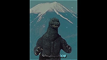 FW Godzilla vs Godzilla ROE #godzillaedit #godzilla