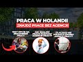 PRACA W HOLANDII BEZ AGENCJI.  Jak to ogarnąć? Emigracja! #pracawholandii #emigracja #holandia