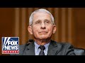 Mainstream media gives Fauci a pass on bombshell Wuhan report