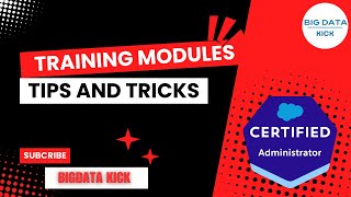 Customize a Salesforce Object - Create Picklists and Field Dependencies