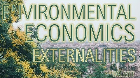 Externalities 01: Introduction