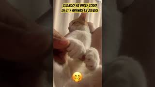 Ya Casi Termina La Semana , Un Empujoncito Más