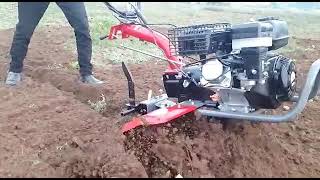 Pubert Power Weeder Since 1840