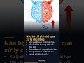 Não bộ chỉ ghi nhớ qua xử lý chủ động