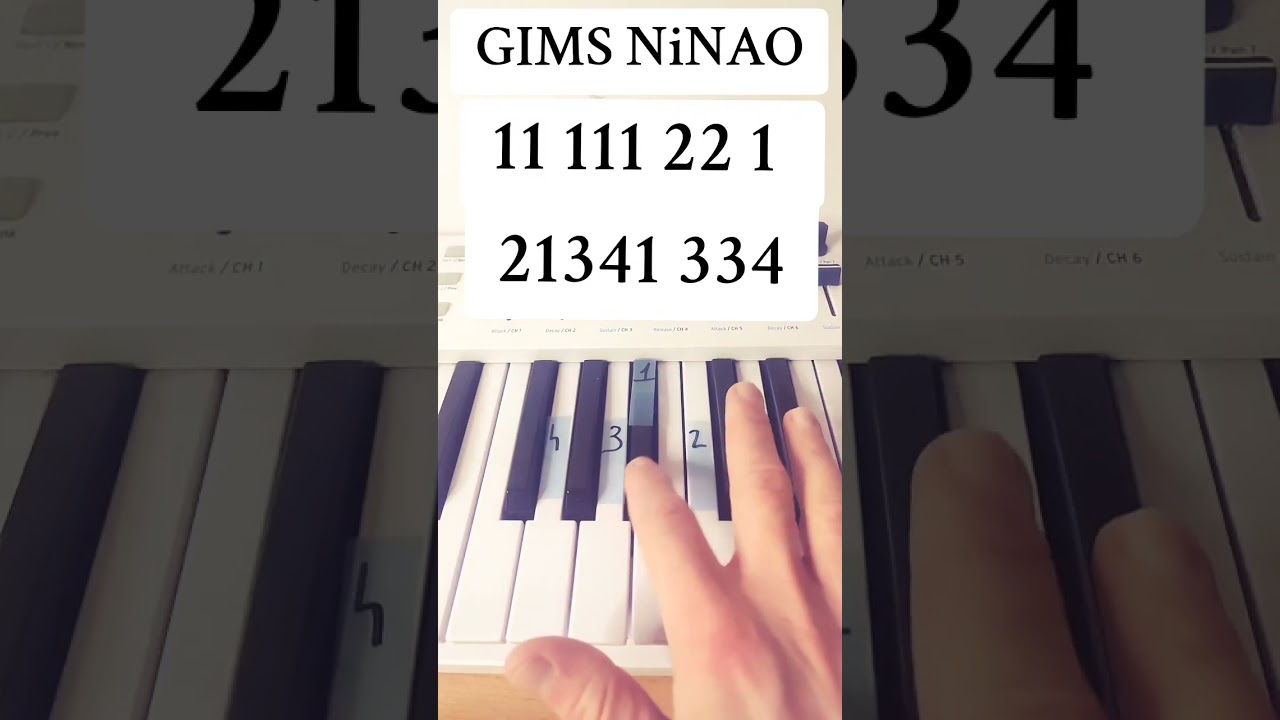 GIMS - NINAO 