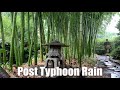 Japan post typhoon 13 rain walk 20230908 asmr ambience sound sleep meditate relax tokyo suburb