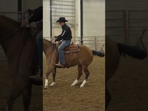 Anteprima: Ranch Sorting “V” Drill