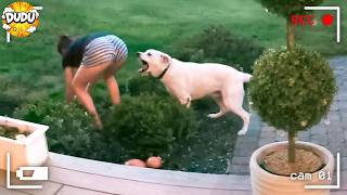 Caught in 4K! 😆 Epic Security Camera Fails Compilation