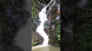#waterfall#world#nepali#shotsvideoyoutube @petricci santosh lama