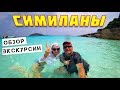 Симиланские острова. Самая продаваемая экскурсия на Пхукете! Честный обзор.