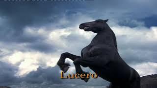 Mañana es para siempre capitulo 160 parte 1/2 (gran final)