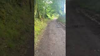 De camino a Palas del Rei #caminosantiago #caminofrances #galicia
