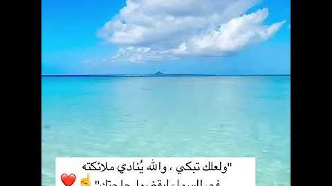 قد أفلح من تزكى وذكر اسم ربه فصلى... 😍📚 // تلاوة خاشعة ومؤثرة // حالات واتس اب دينيـة مؤثرة ♥️