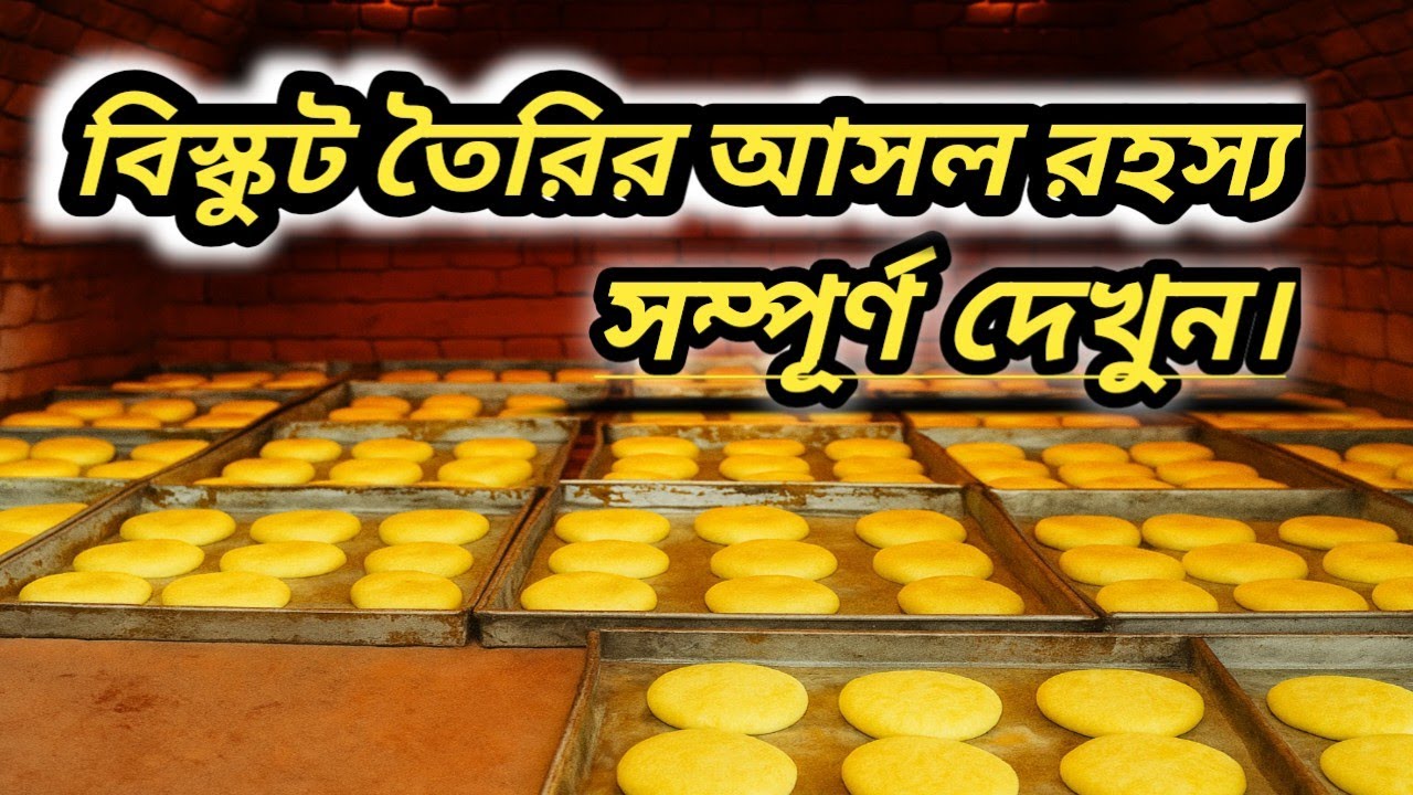 বেকারির ভিতরে বিস্কুট বানানোর চমকপ্রদ প্রক্রিয়া | Biscuit Factory Inside Look