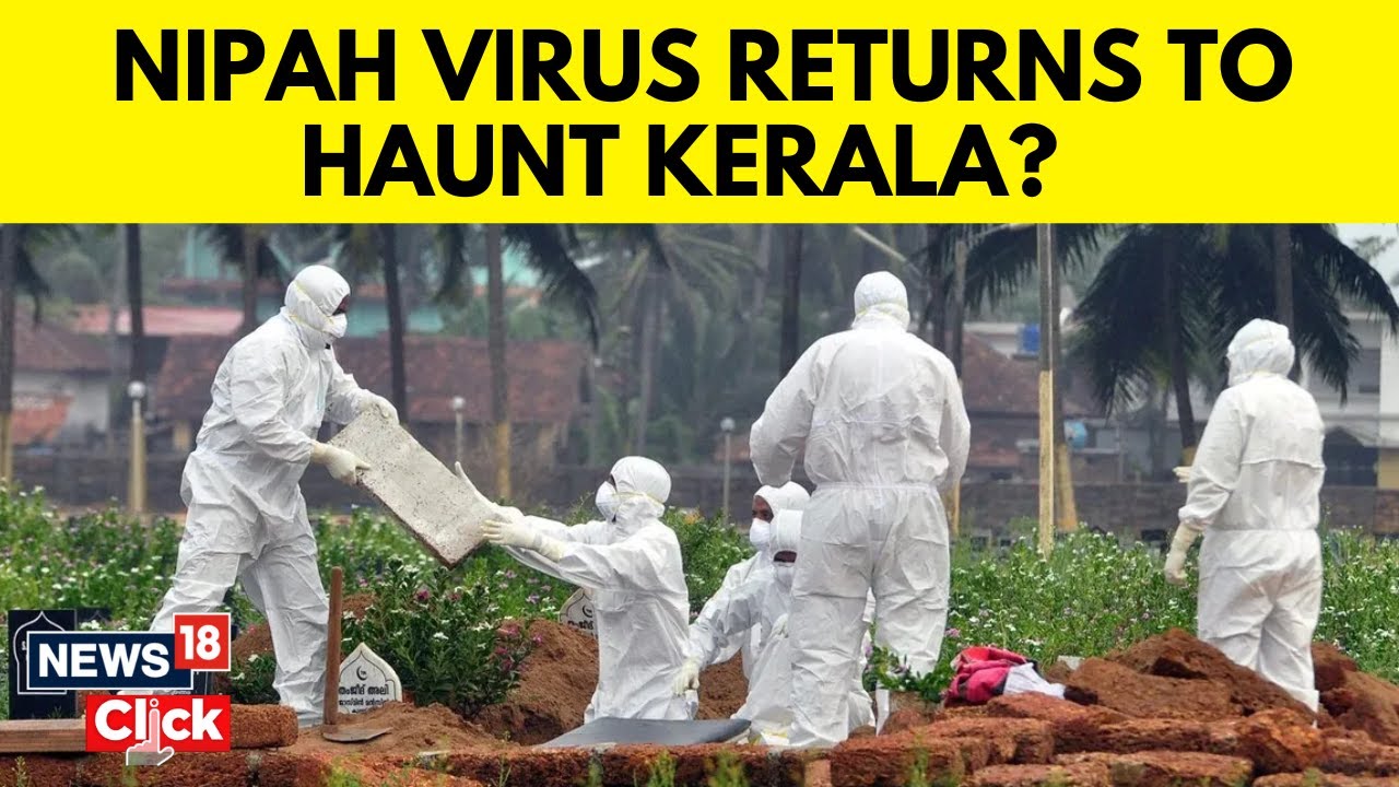 Kerala News | Nipah Alert Sounded In Kerala After Two 'Unnatural' Deaths Reported | News18