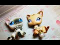 Lps meme fioppy ears