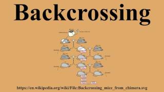 Backcrossing