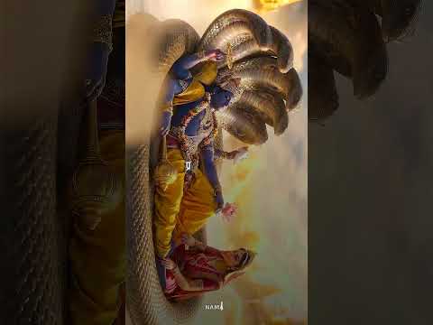 Om Krishnaya Vasudevaya Haraye Paramatmane 🦚Pranatah Kleshanashaya Govindaya NamoNamah #mantra #fyp